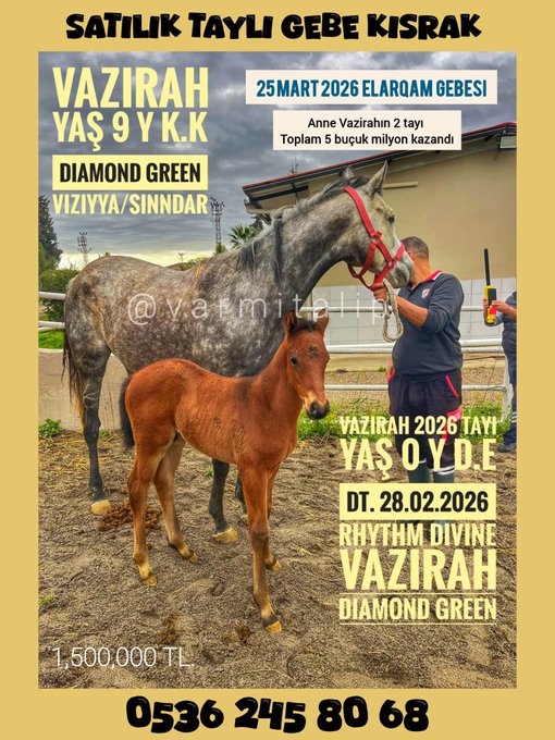 S A T I L D I  VAZIRAH (KISRAĞIMIZ S A T I L D I )