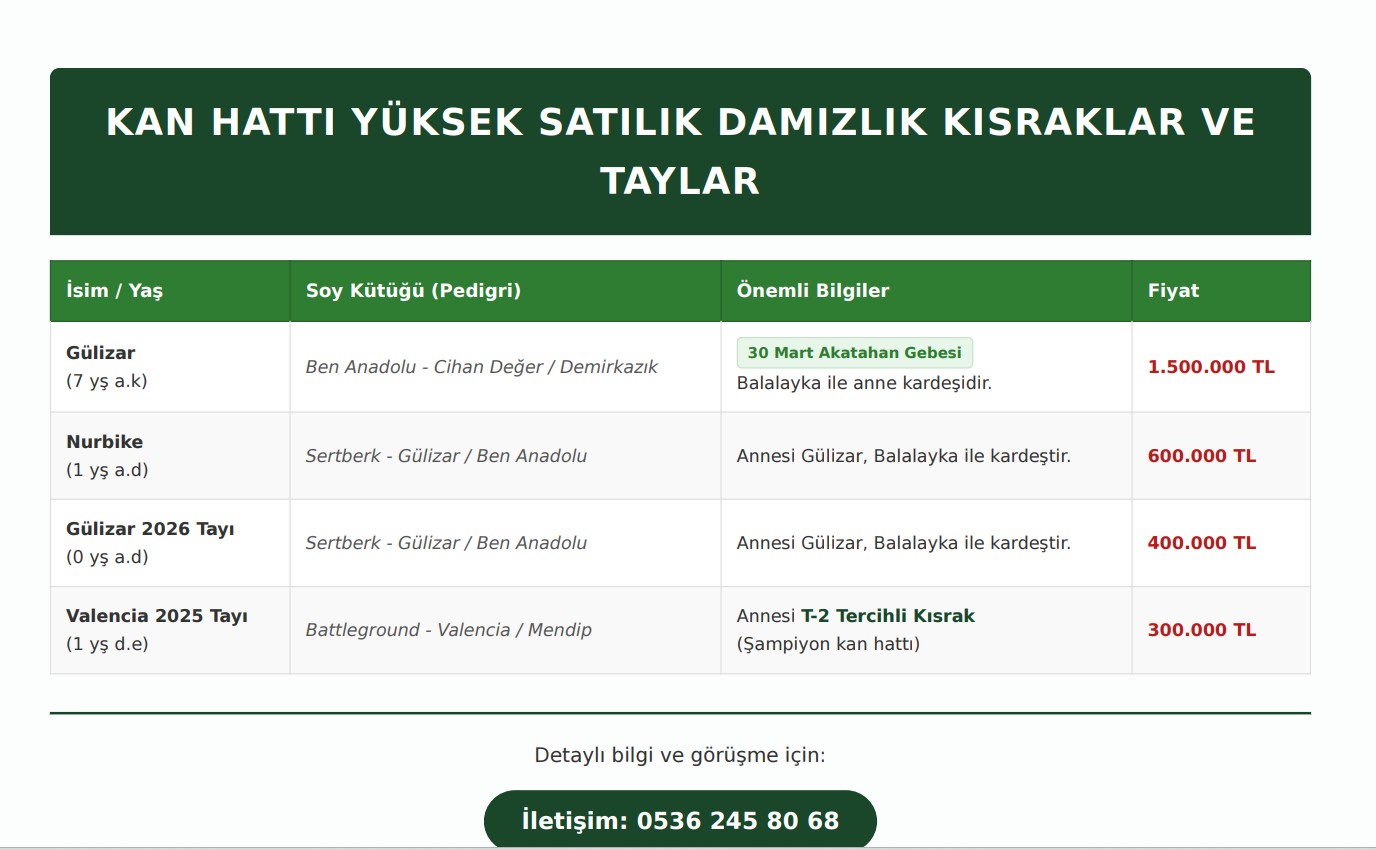 SATILIK YÜKSEK KAN HATLI TERCİHLİ DAMIZLIK VE TAYLAR