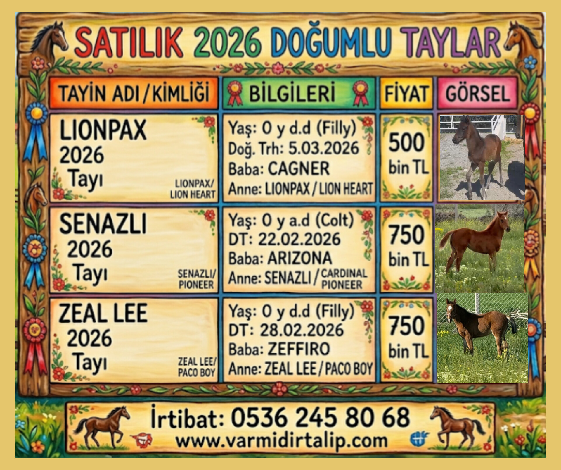 ARIZONA,ZEFFIRO,VE CAGNER 2026 TAYLARINA VARMIDIR TALİP