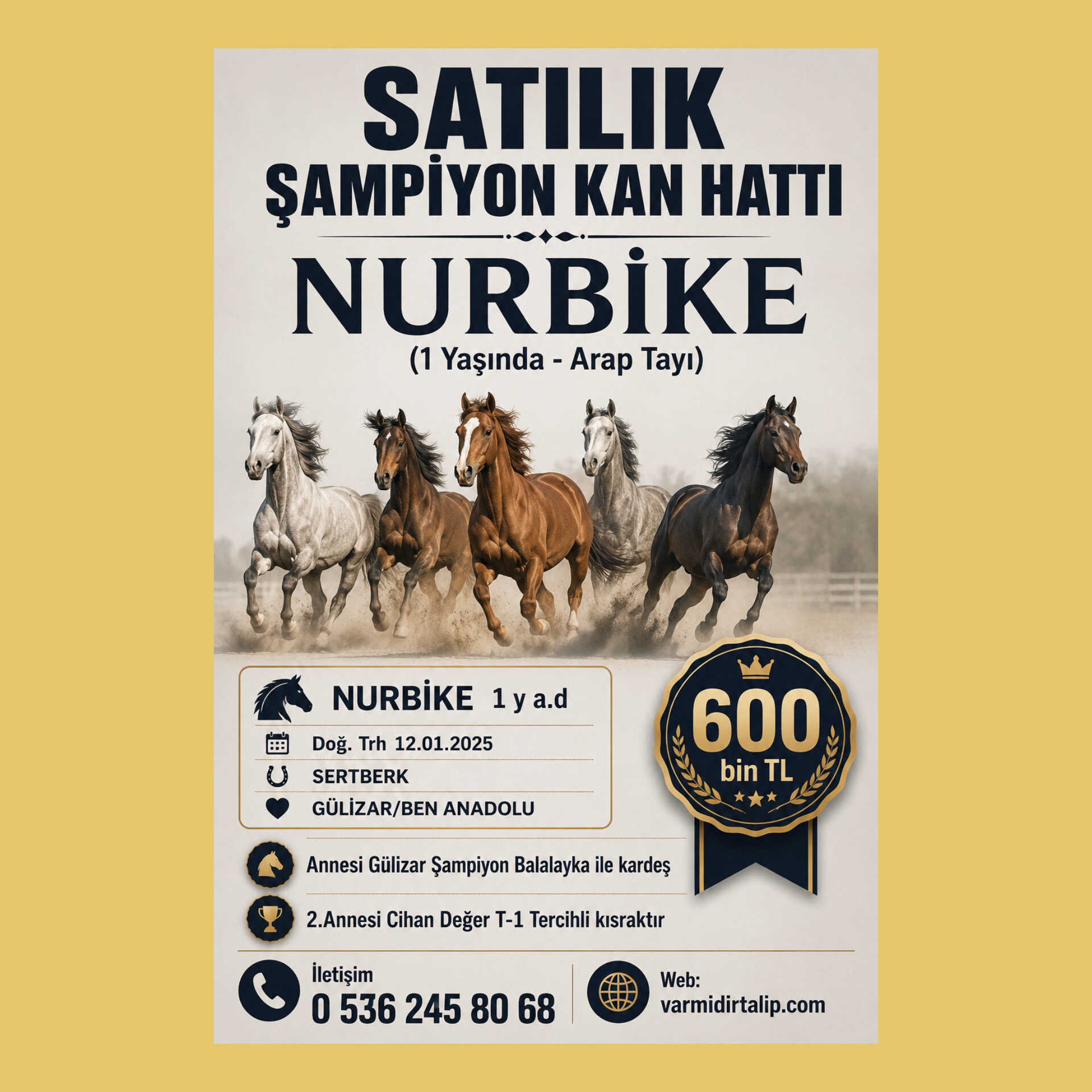 ANNESİ BALALAYKA İLE KARDEŞ 1 YŞ SERTBERK DİŞİ TAY NURBİKE