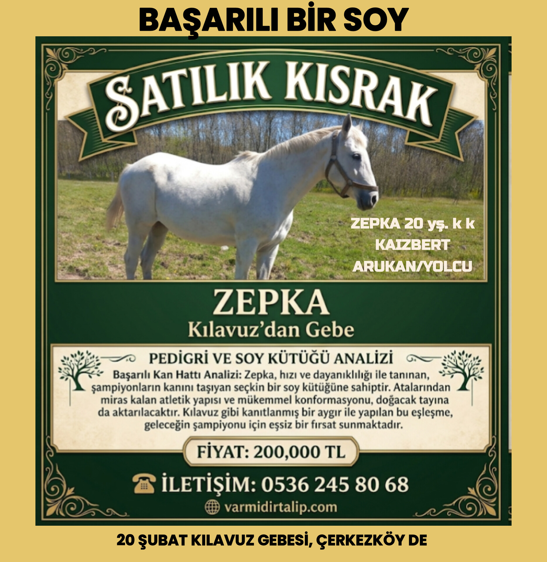 KILAVUZ GEBESİ DAMIZLIK ZEPKA