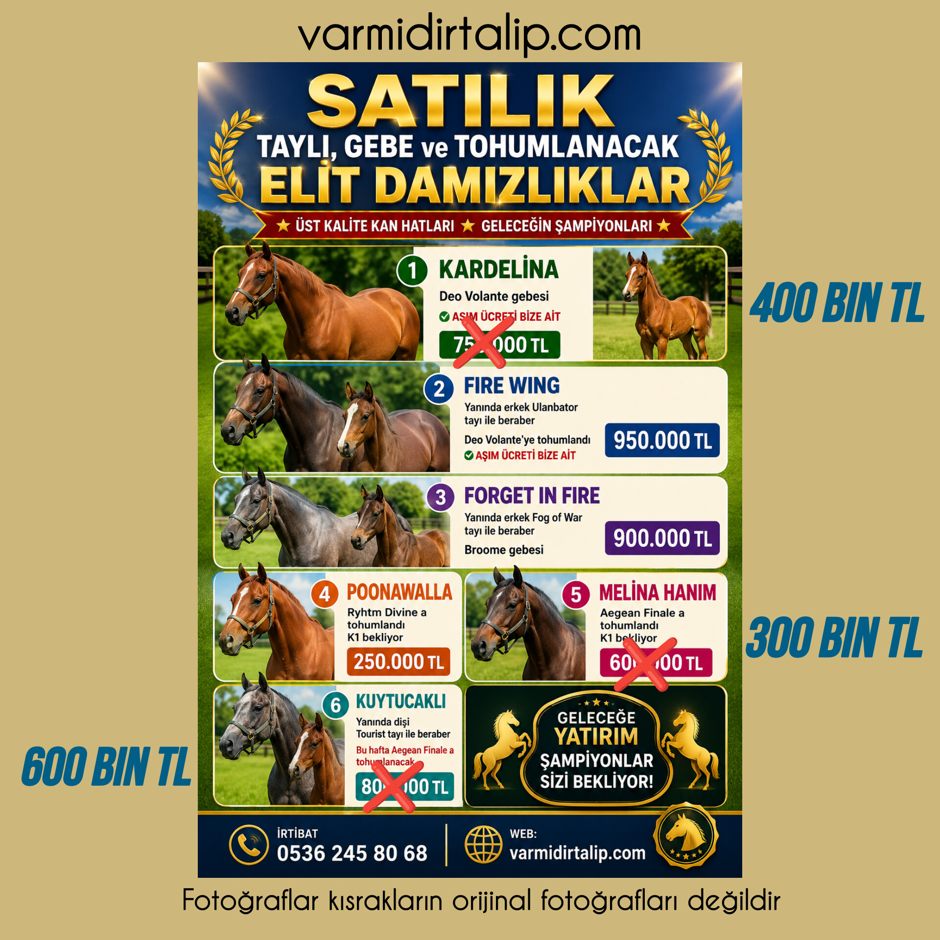 SATILIK GEBE VE TAYLI DAMIZLIKLAR