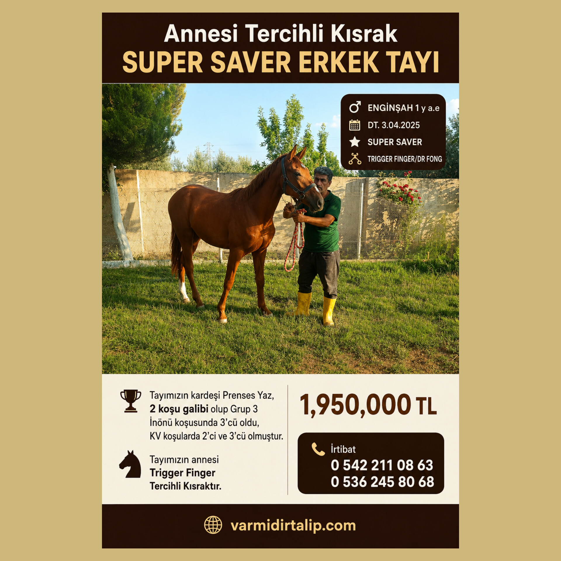 ANNESİ TERCİHLİ SUPER SAVER ERKEK TAYI ENGİNŞAH