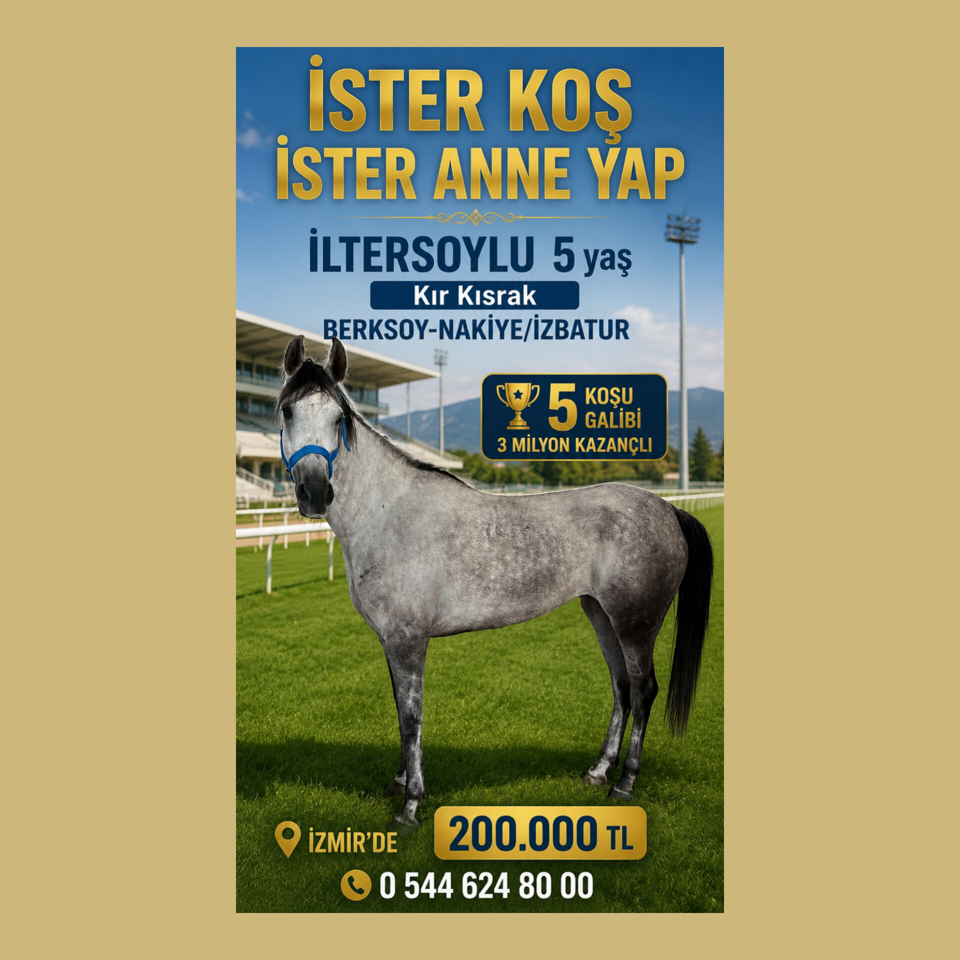 İZMİR'DE İSTER KOŞ,İSTER ANNE YAP (İLTERSOYLU)