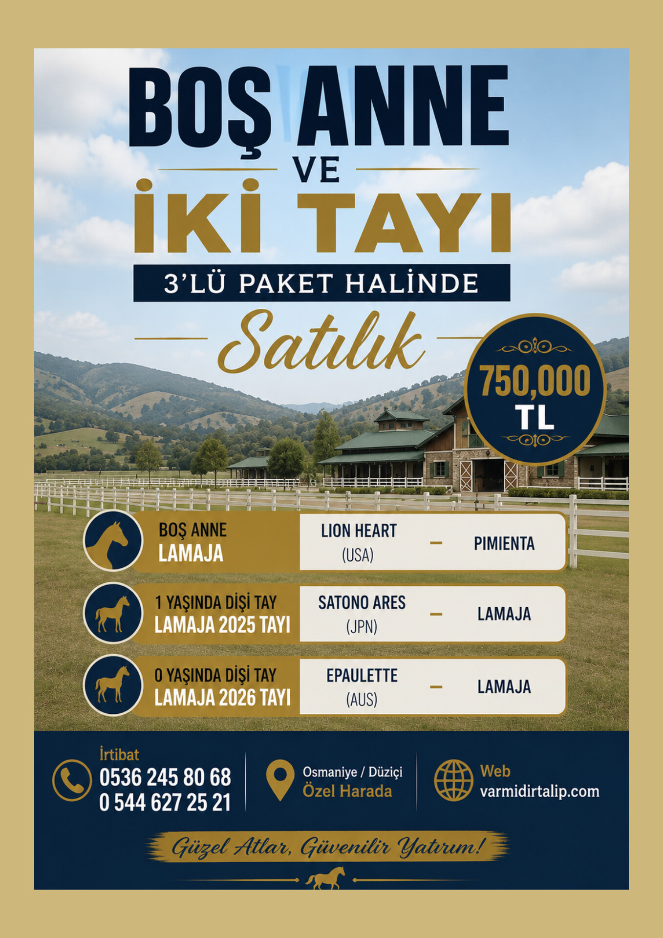 SATILIK BOŞ ANNE LAMAJA VE SATONO ARES,EPAULETTE  TAYLARI 3 LÜ PAKET HALİNDE