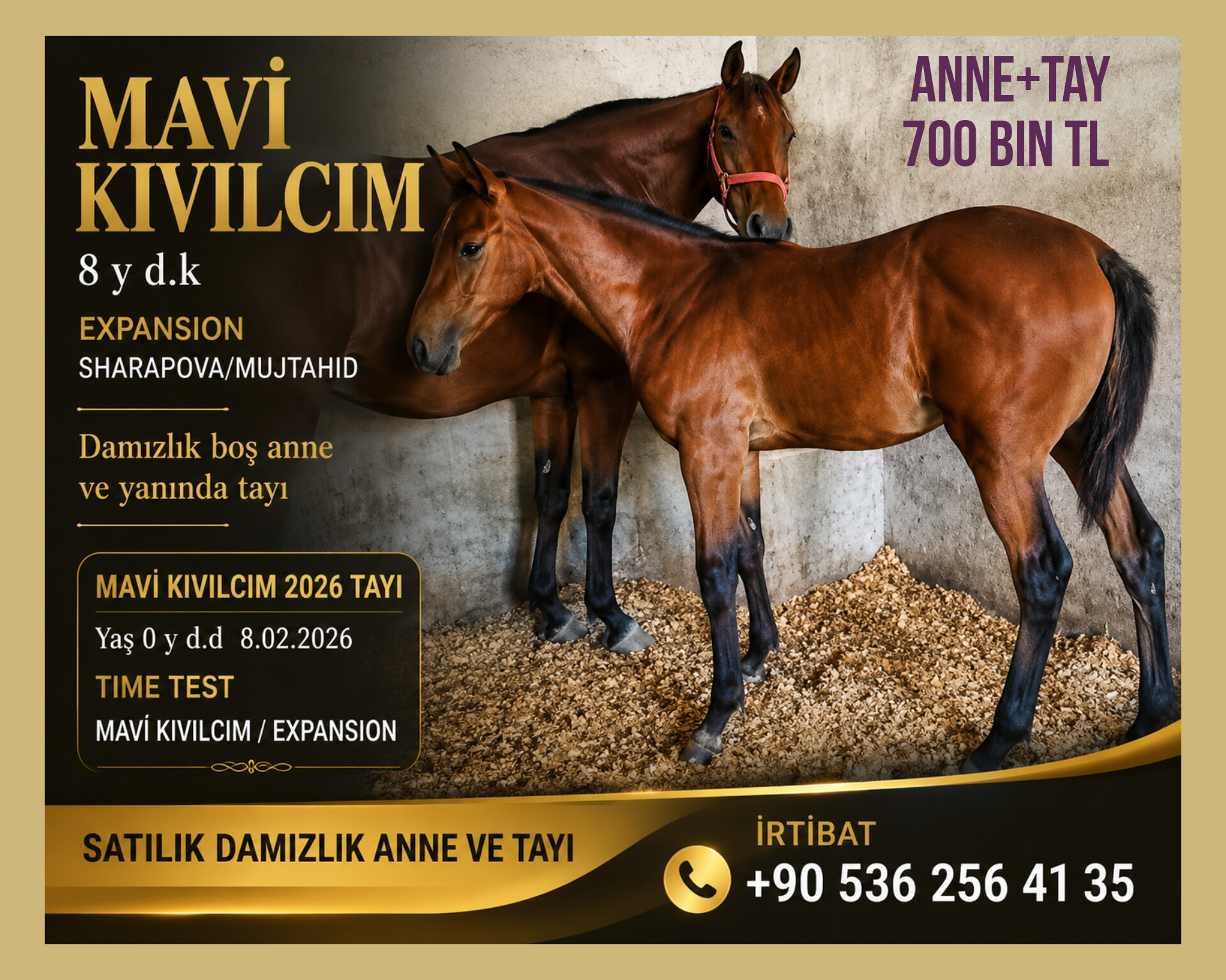SATILIK BOŞ DAMIZLIK MAVİ KIVILCIM VE YANINDA TIME TEST TAYI
