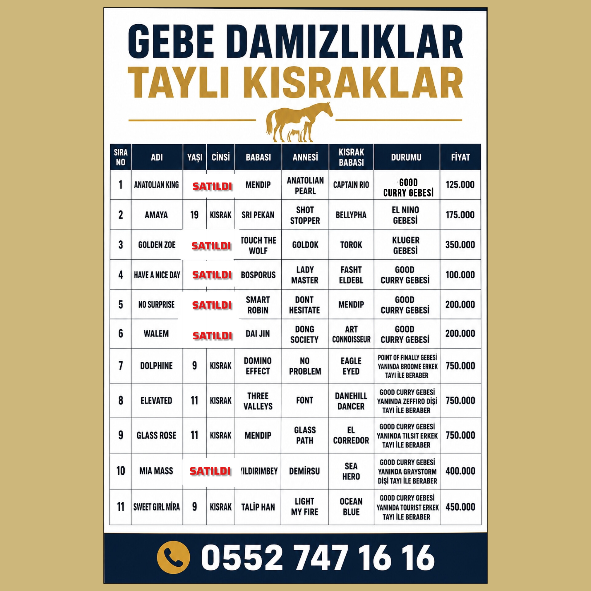 TAYLI VE TAYSIZ GEBE DAMIZLIK KISRAKLAR
