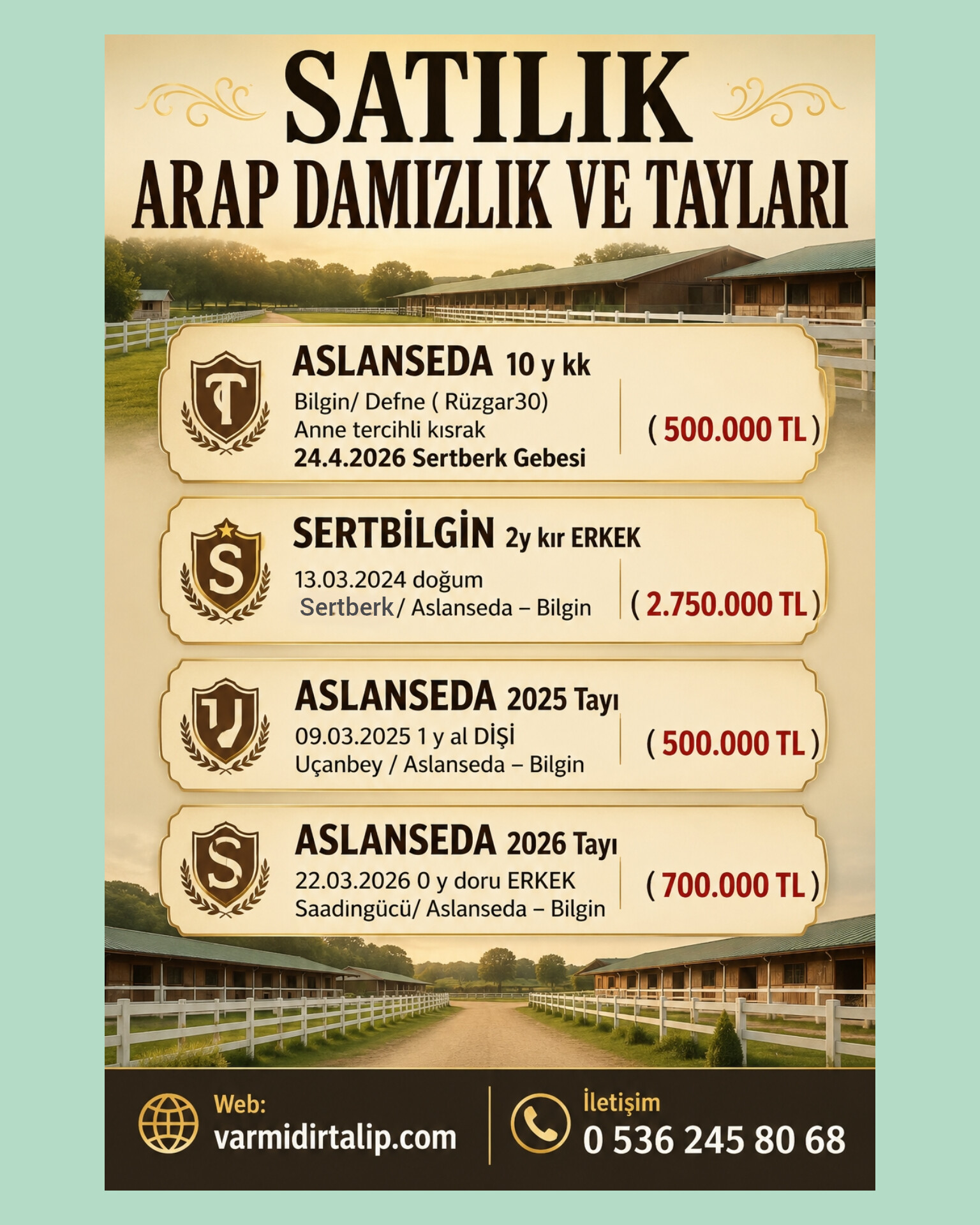 SATILIK ARAP DAMIZLIK ASLANSEDA VE 3 TAYI
