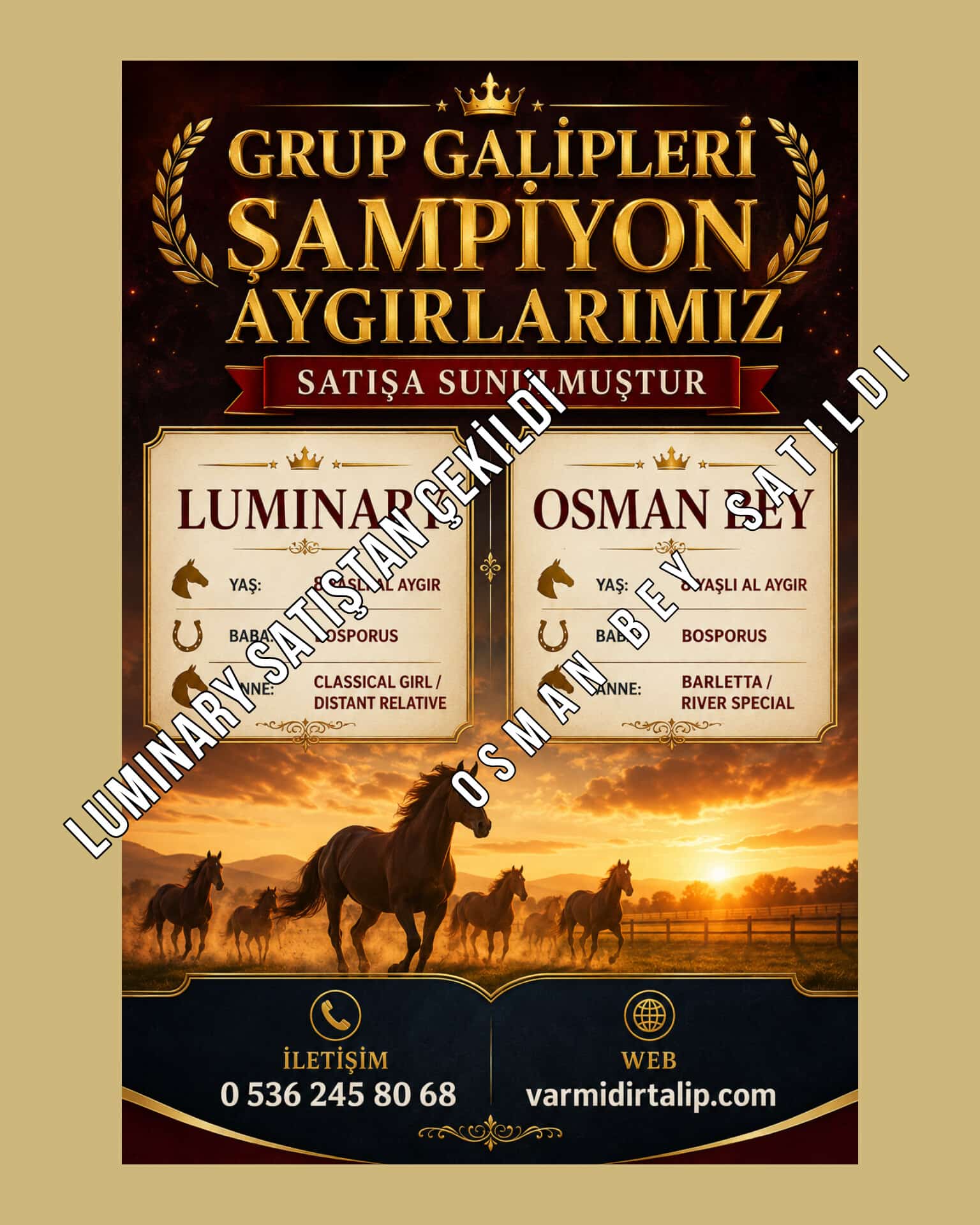 (Satıştan Çekildi)SATILIK ŞAMPİYON AYGIR LUMINARY