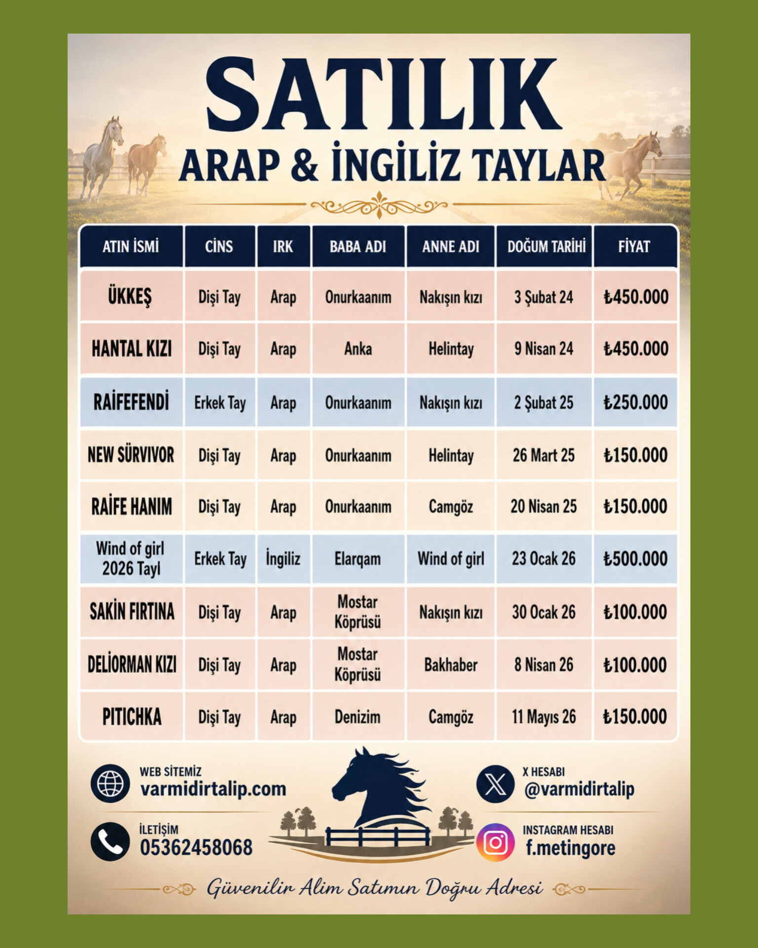 Çiftliği Boşaltıyoruz TÜM ATLAR MALİYETİN ÇOK ALTINDA SATILIK 