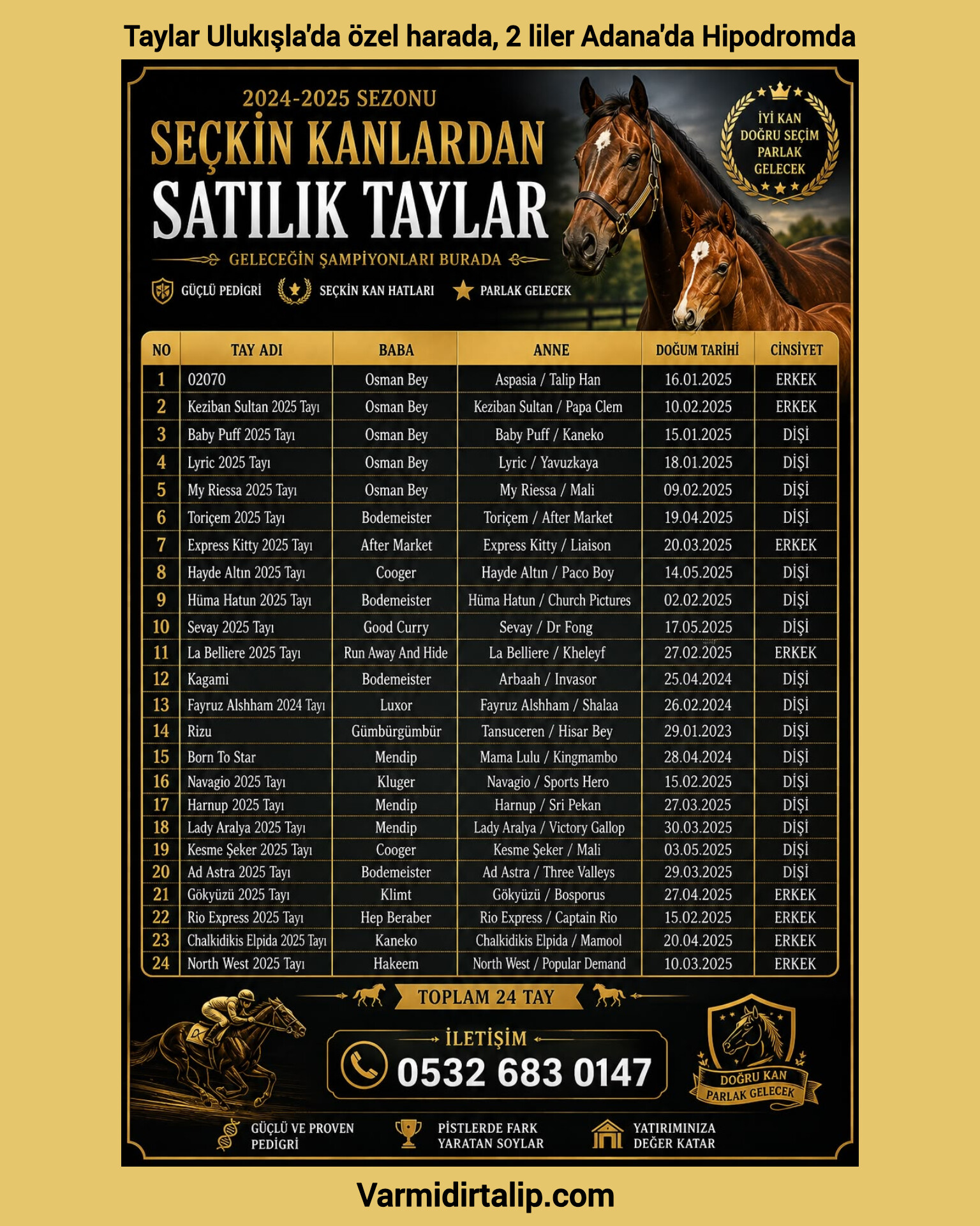 TEKLİF USULÜ SATILIK SEÇKİN KANLARDAN HARİKA TAYLAR 