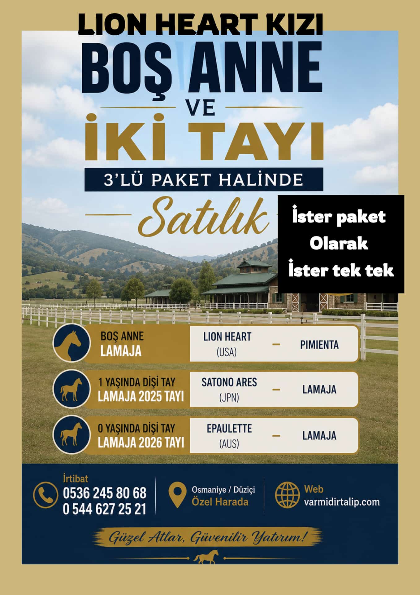 LION HEART KIZI BOŞ ANNE LAMAJA VE SATONO ARES,EPAULETTE  TAYLARI 3 LÜ PAKET HALİNDE veya AYRI OLARAK SATILIK