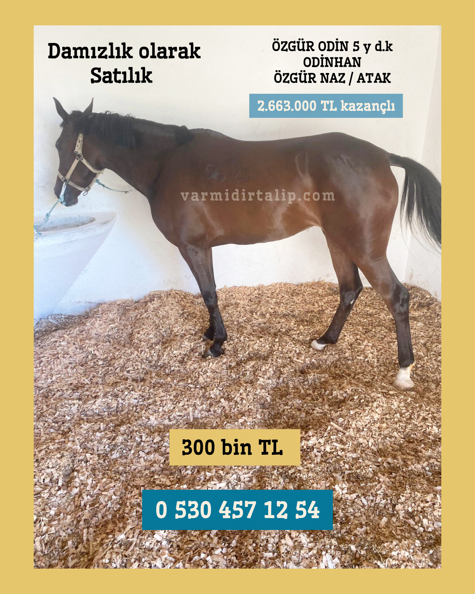 SATILIK DAMIZLIK BOŞ KISRAK ÖZGÜR ODİN  0 530 457 12 54