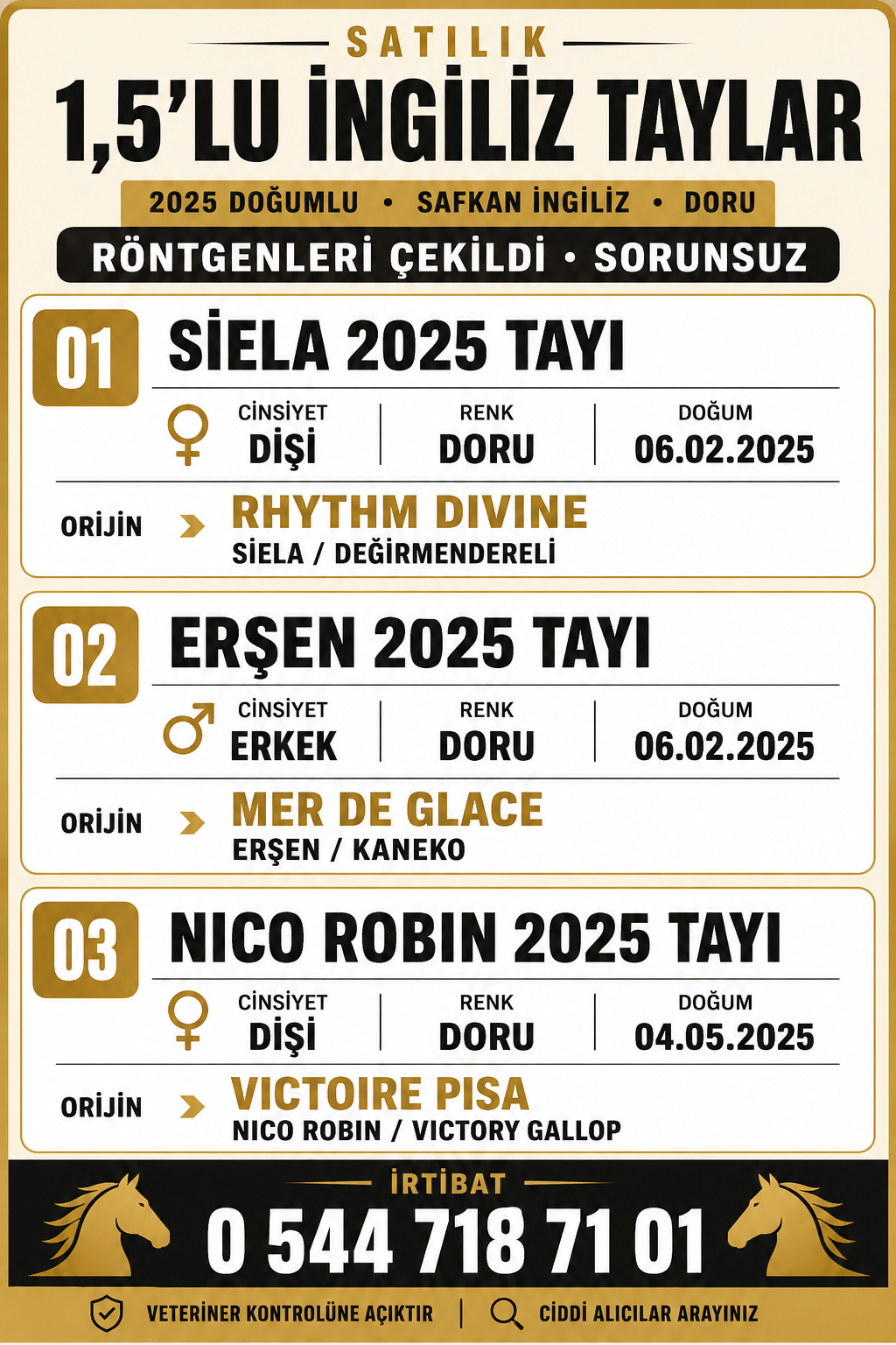 HİPODROMA İNMEYE YAKIN 1 BUÇUKLU İNGİLİZ TAYLAR