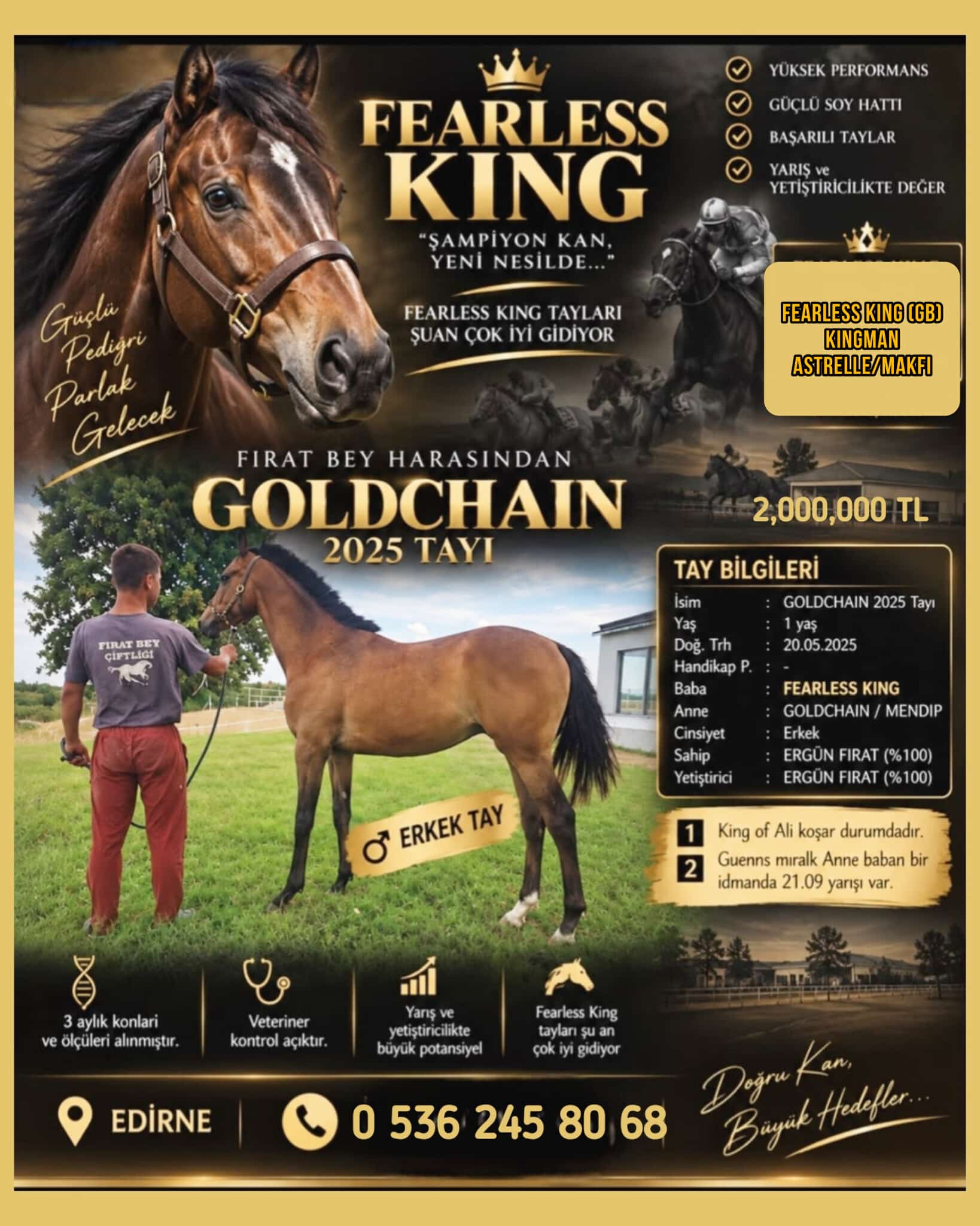 FEARLESS KING-GOLDCHAIN 2025 ERKEK Tayı