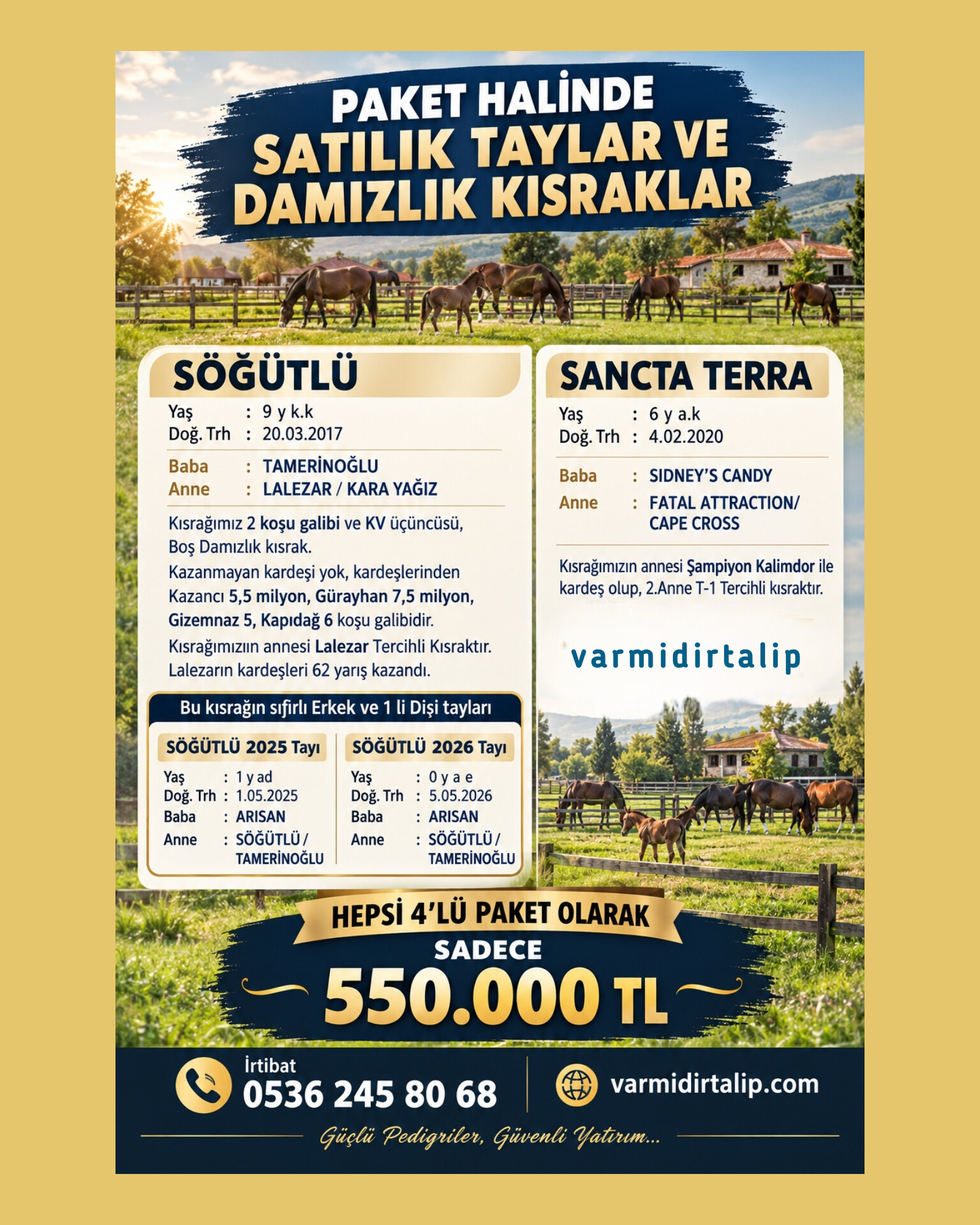 2 TAY 2 DAMIZLIK KISRAK 4 LÜ PAKET SADECE 550 BİN TL