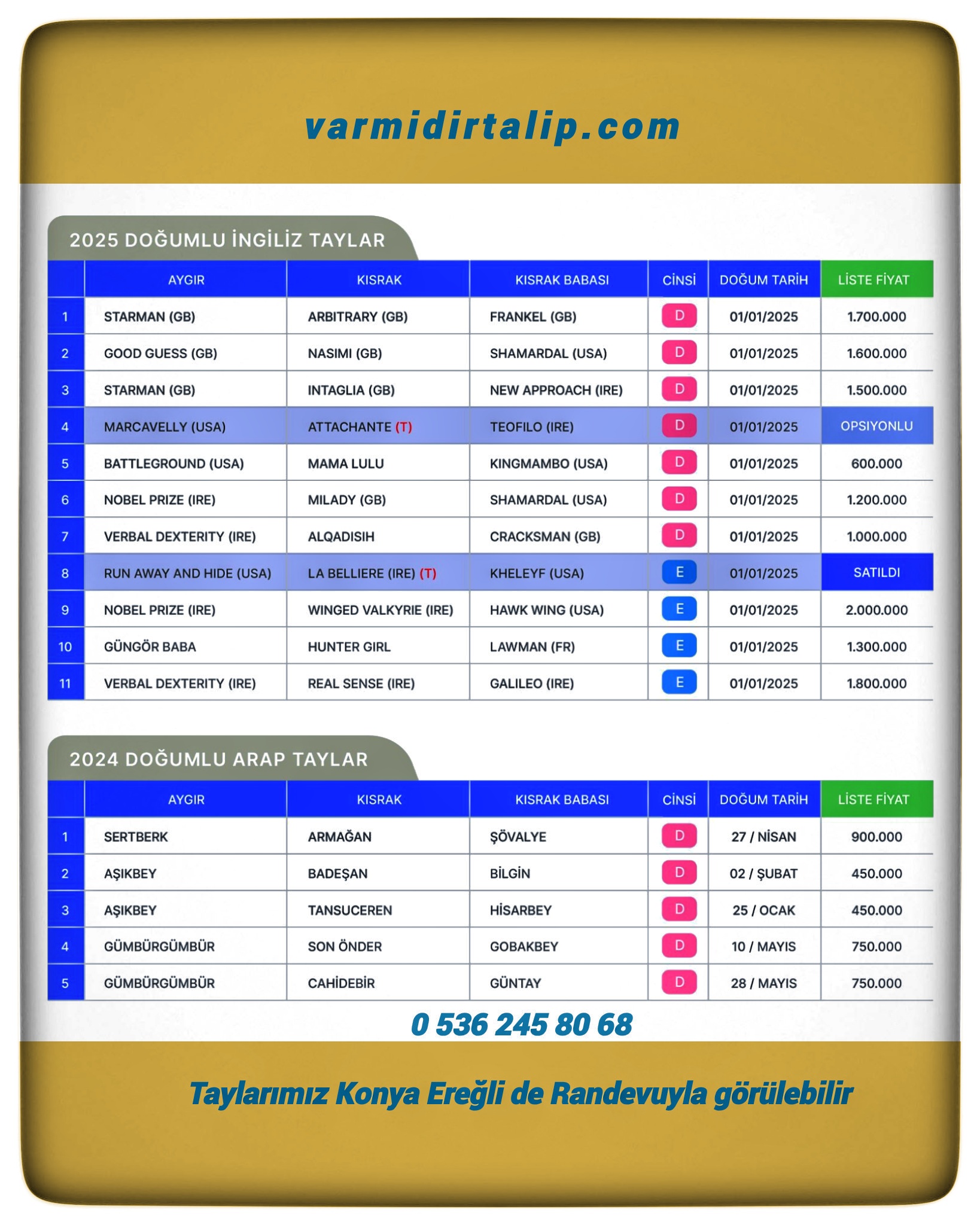 GRUP GALİBİ İTHAL KISRAKLARIN ŞAMPİYON ADAYI  YAVRULARI VE ARAP TAYLAR