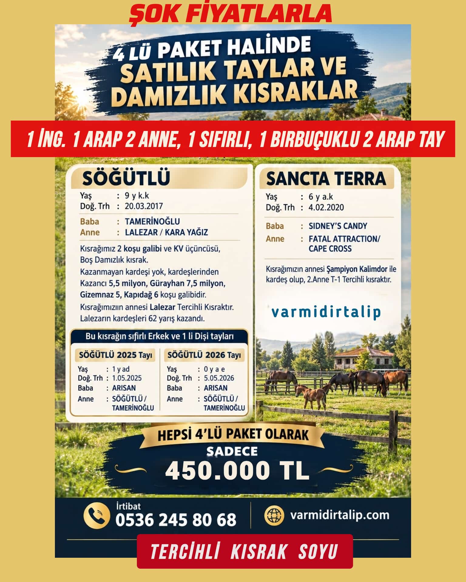 2 TAY 2 DAMIZLIK KISRAK 4 LÜ PAKET SADECE 550 BİN TL