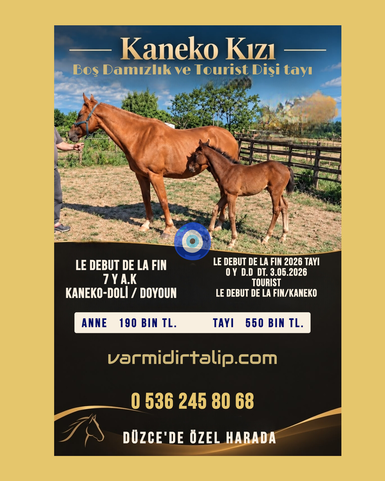 7 yş. KANEKO KIZI BOŞ DAMIZLIK LE DEBUT DE LA FIN,ve YANINDA TOURIST  TAYI  tel:05362458068