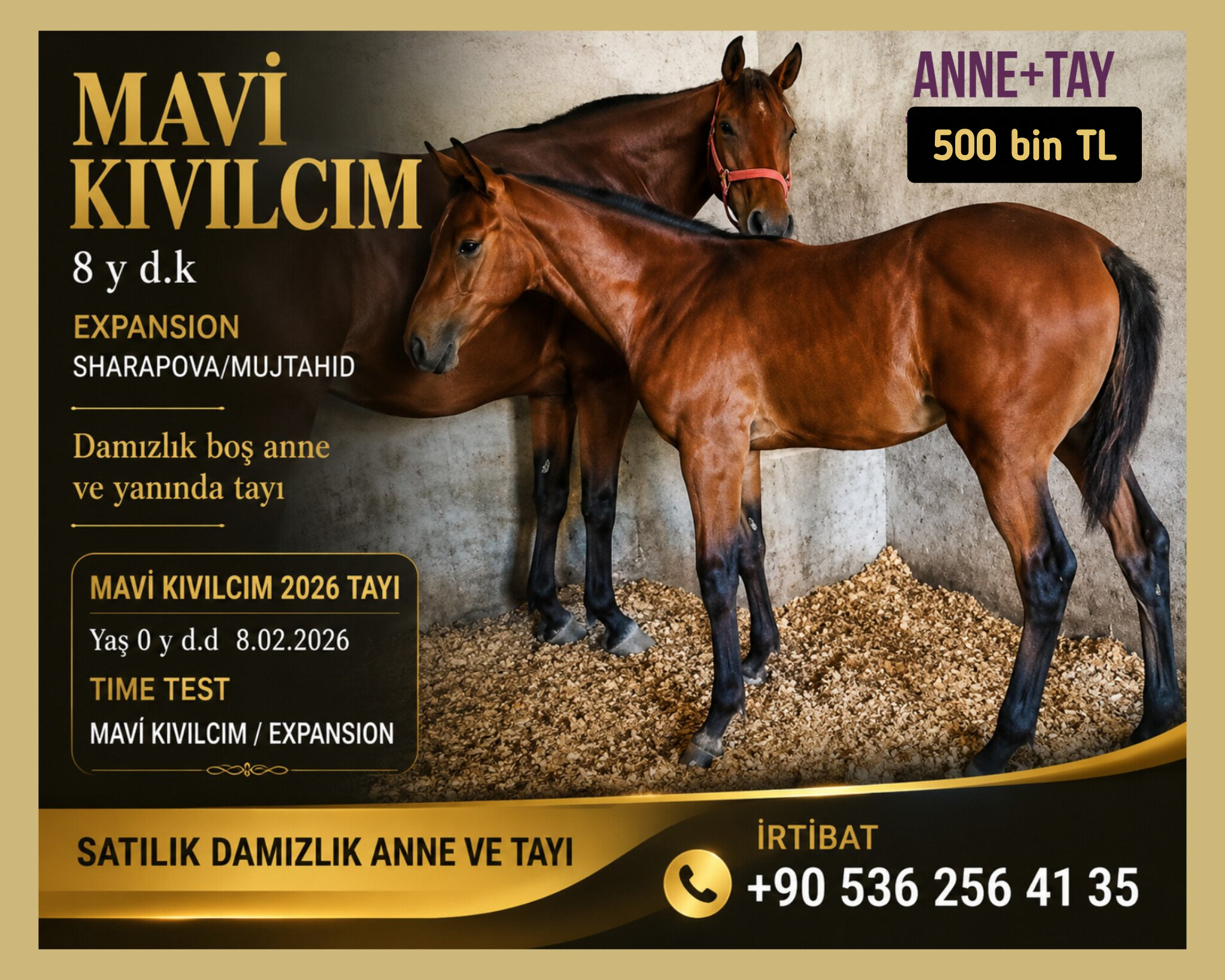 SATILIK BOŞ DAMIZLIK MAVİ KIVILCIM VE YANINDA TIME TEST TAYI (05362458068)