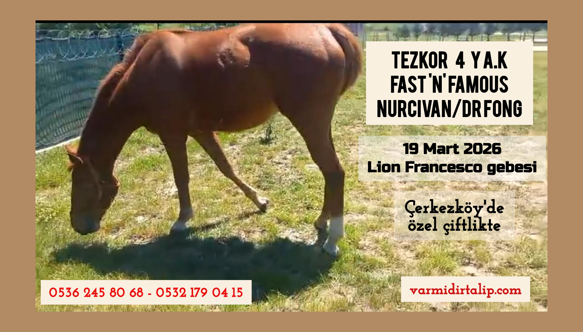 GEBE KISRAK TEZKOR